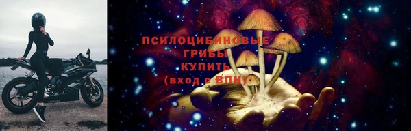 СК Армянск