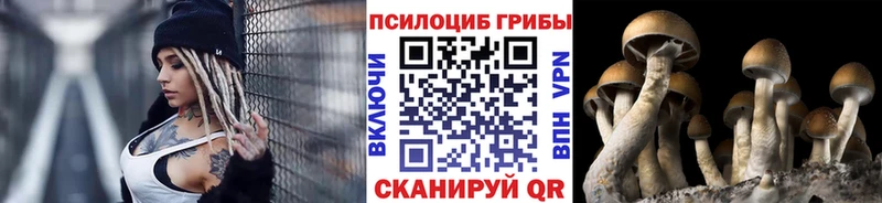 Псилоцибиновые грибы ЛСД  даркнет Telegram  Байкальск  наркота 